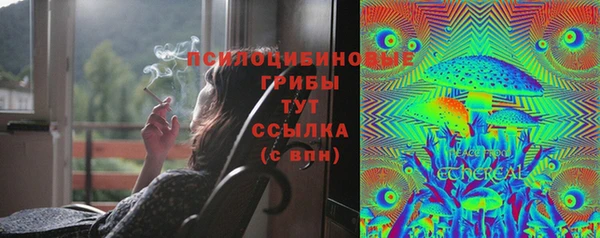 шишки Михайлов